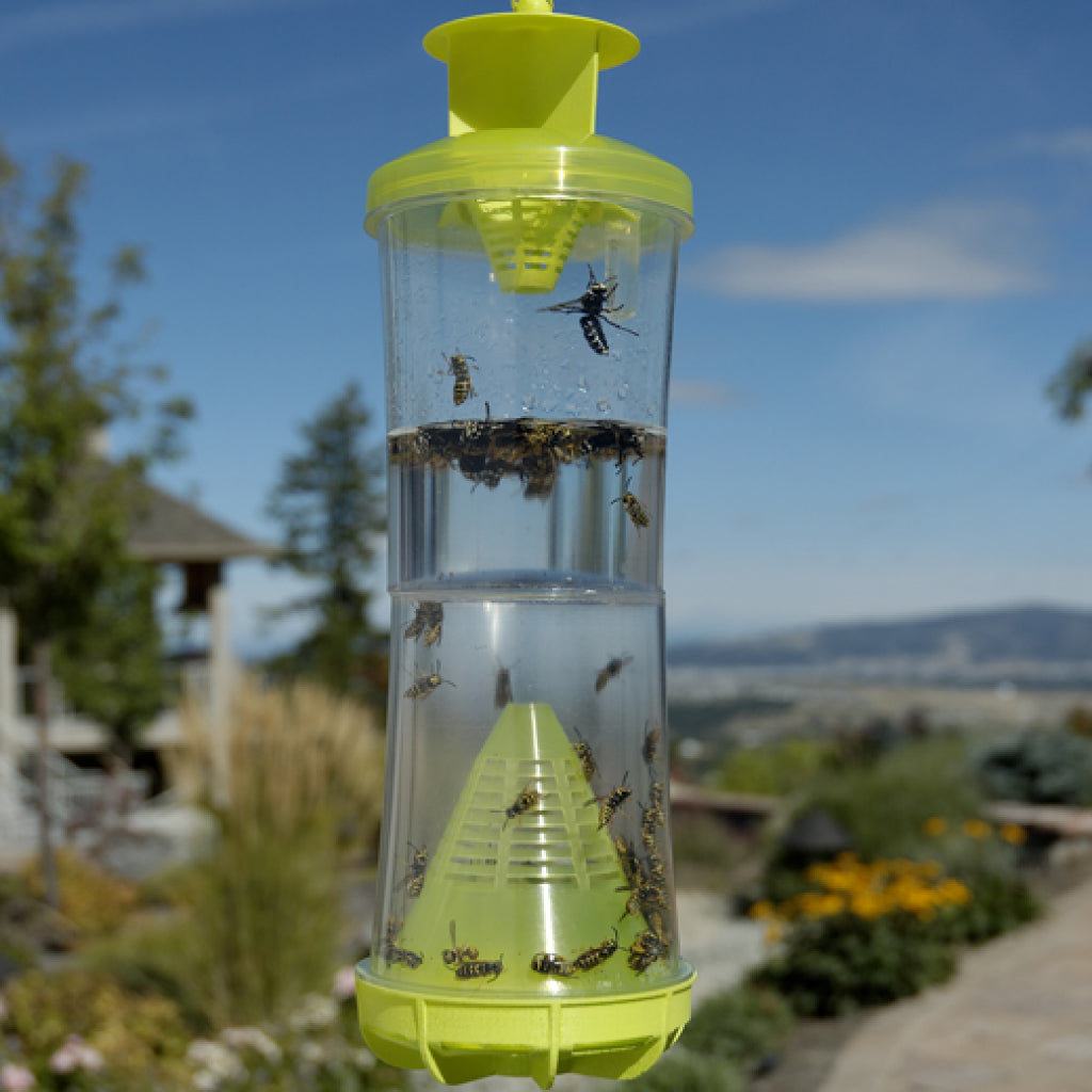 Reusable W.H.Y. Trap Wasp/Hornet