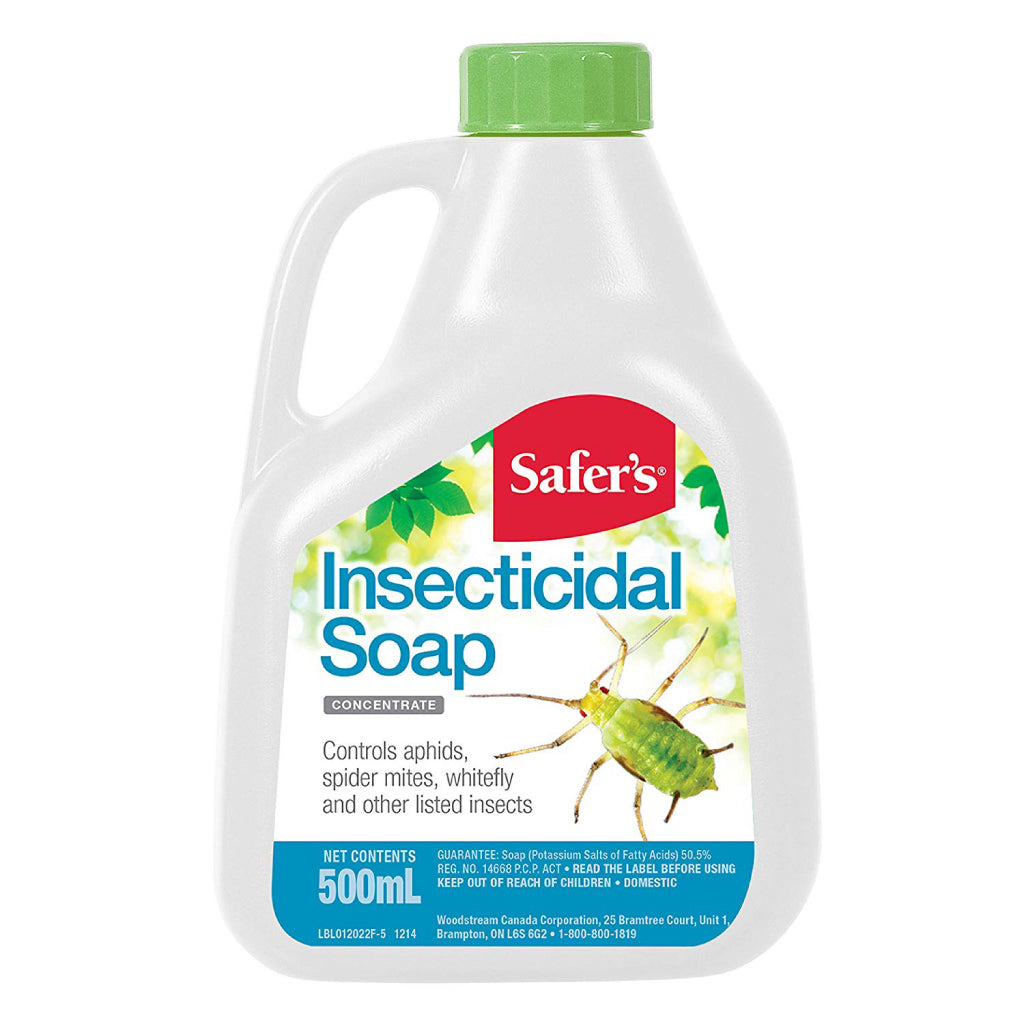 Dr Forest's Bio-Plant Soap Concentrate - 500ml Natural Potassium Salt Leaf Wash For Indoor & Outdoor Plants