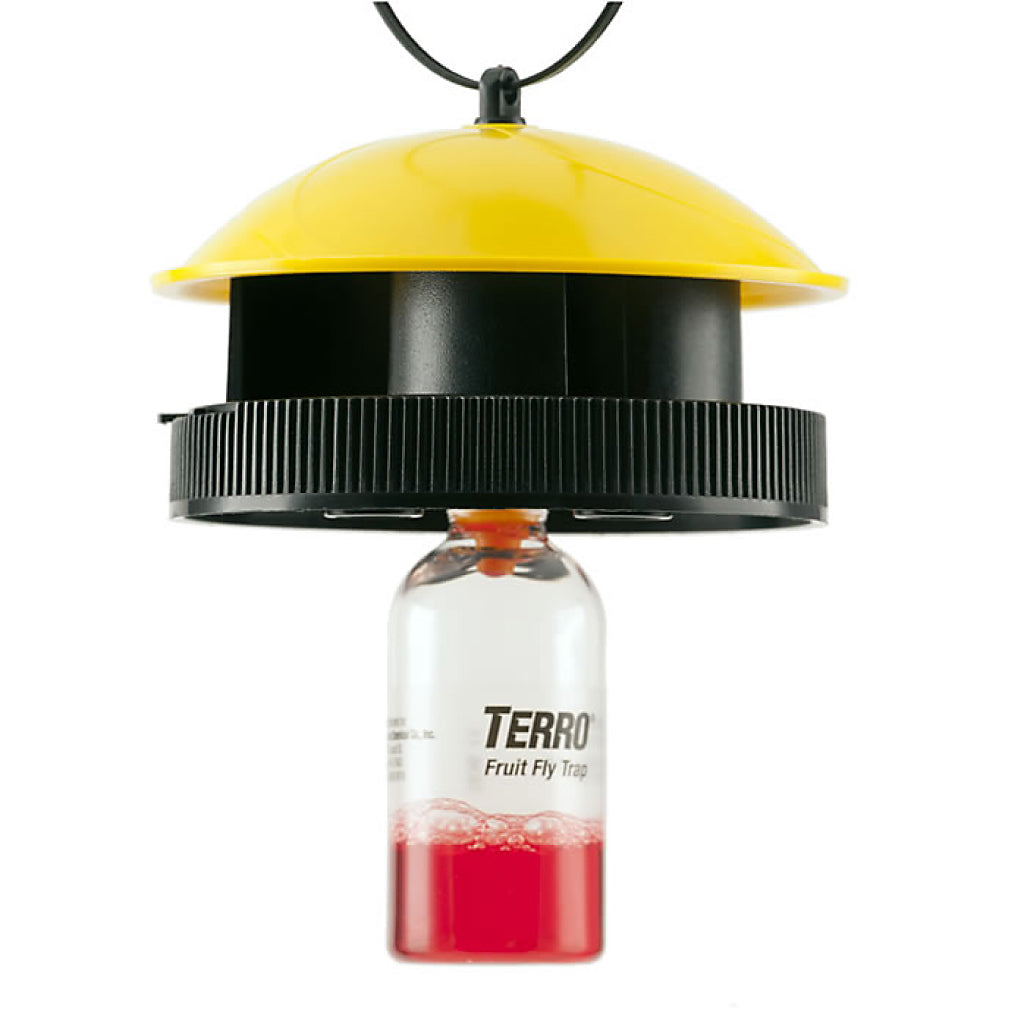 Terro Wasp & Fly Trap Large