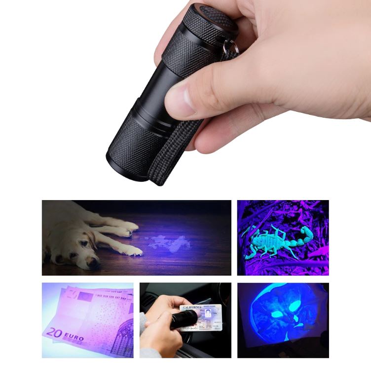 Lumière de détection UV