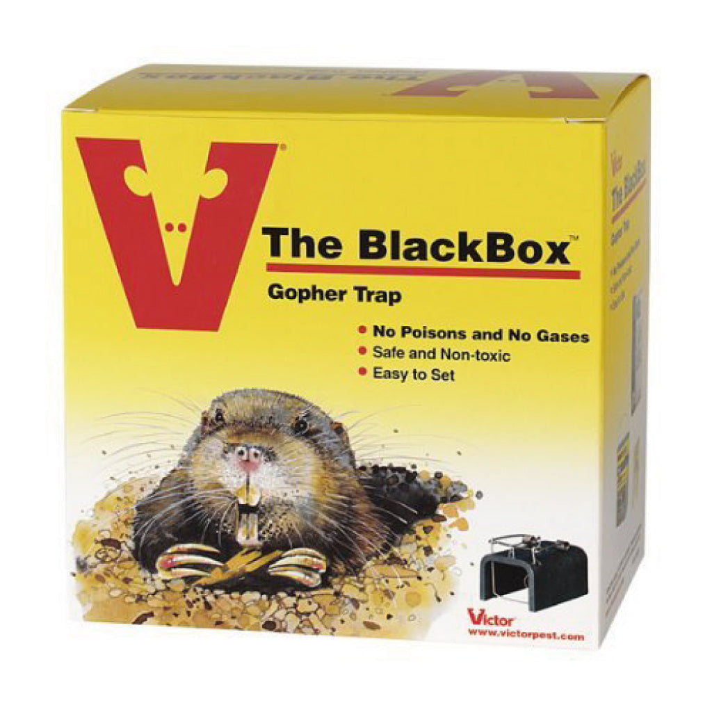 How to Trap a Gopher Using Victor Black Box Gopher Trap – Pest Supply ...