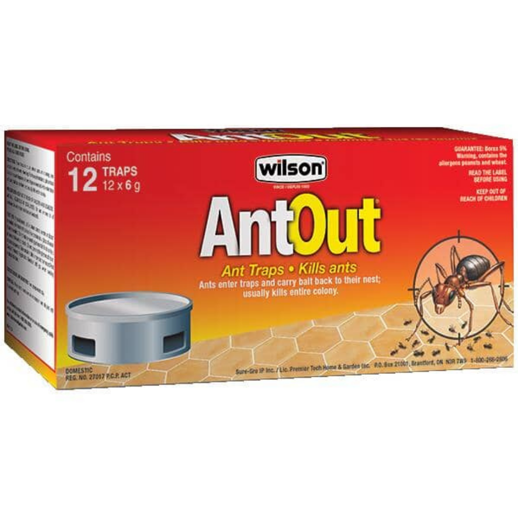 Wilson AntOut 12-pk