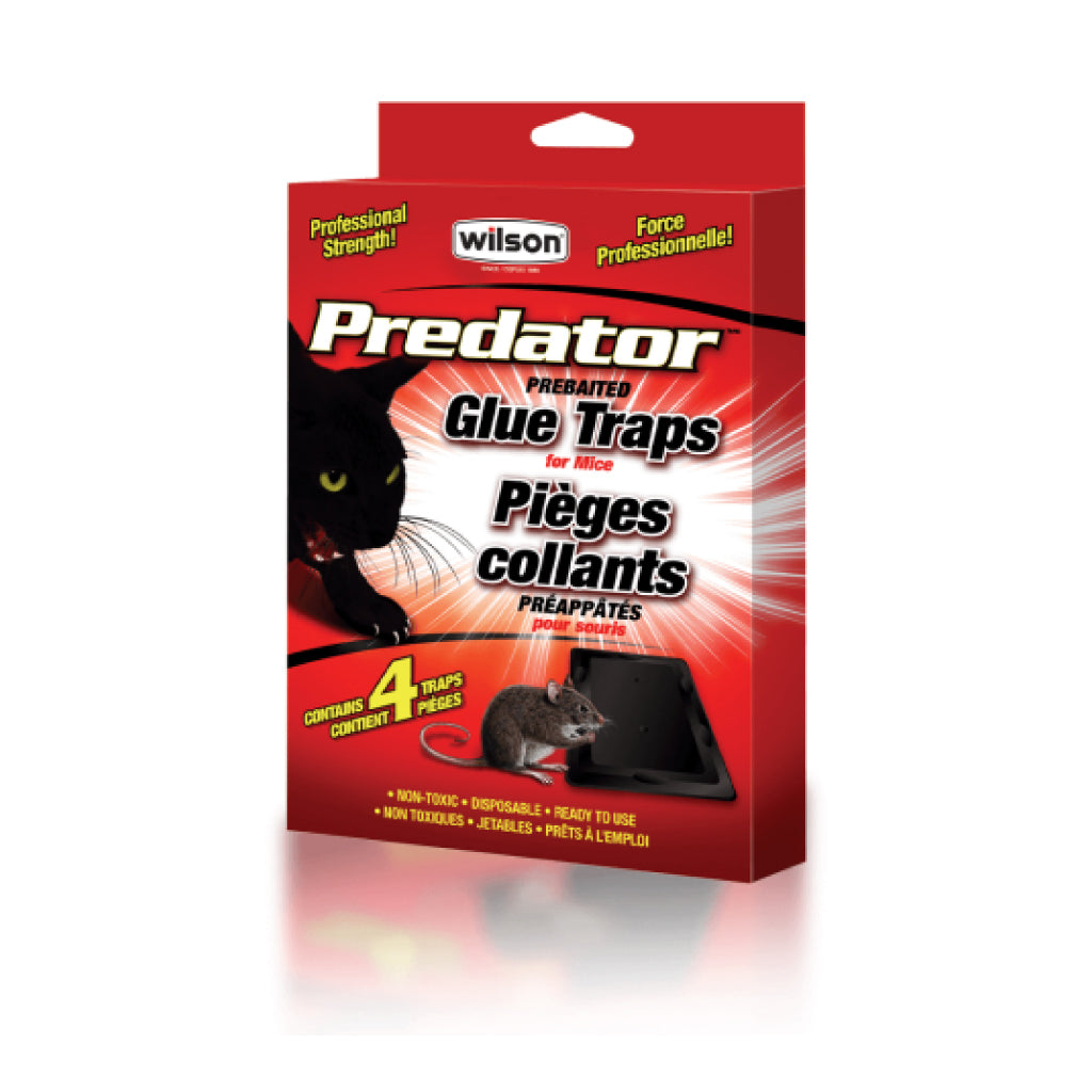 Pièges adhésifs pour souris Predator (4pk)